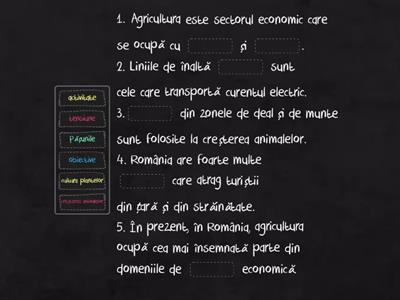 Activitățile economice: agricultura, industria, serviciile (Bejgu Claudia)