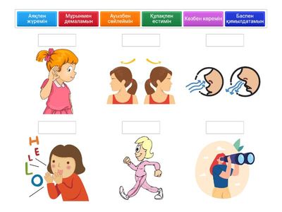  Дене мүшелері қызметі 1 сынып