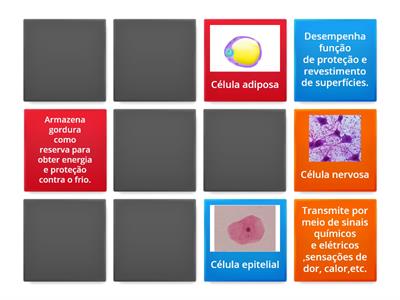 Jogo da memória-Célula 