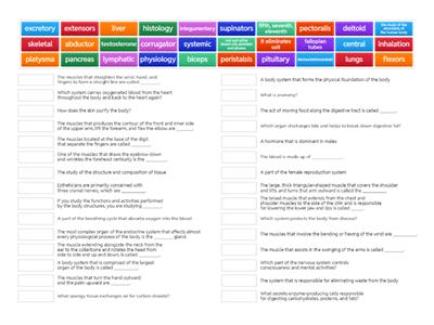 Chapter 2 (Anatomy and Physiology) Part 2