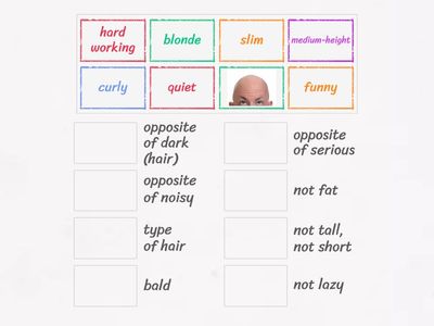 English file pre-int 1B