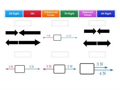Calculating Net Force