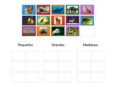 Clasificación por tamaño