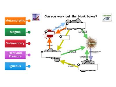  Labeling the Rock Cycle