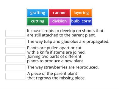 Horticulture: 3 Vegetative propagation