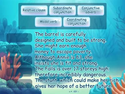 Balanced argument features - Annie Edson Taylor