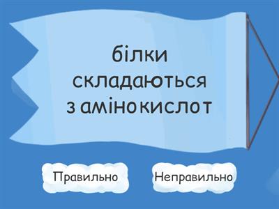 Білки. Ліпіди. Вуглеводи. Нуклеїнові кислоти