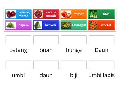 Sayuran yang bagian bisa dimakan atau dimanfaatkan