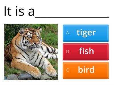 Describing animals