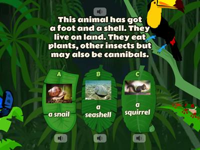 Kid's Box 3 - Unit 7 - Animals - quiz