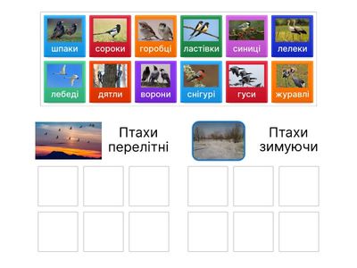 Херсон ЗДО №22 Галина Лебедєва "Птахи перелітні і зимуючи"