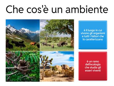 ecosistemi e ambiente