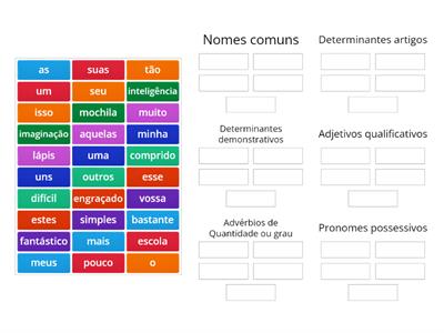 Classifica as palavras - Classe e subclasse