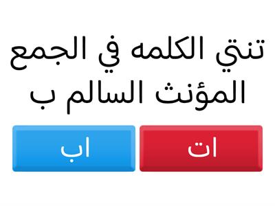 مشروع العربي زينه محمد احمد1د6