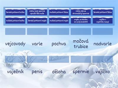 Pohlavní soustava - pojmy k procvičení