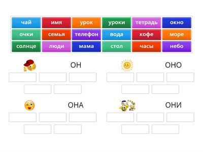  он она оно они