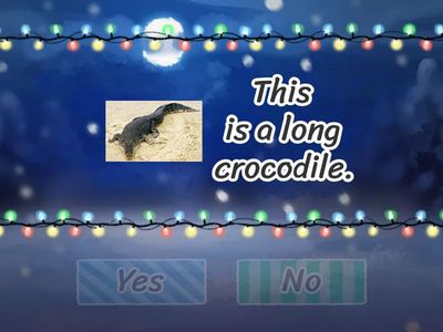 KB 1 Unit 7 Wild animals