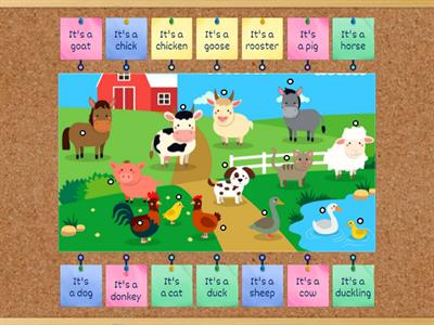 Farm animals