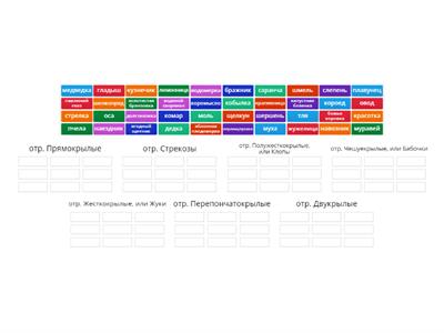 кл. НАСЕКОМЫЕ