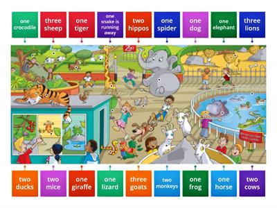 Pre A1 Starters Speaking practice (Zoo)