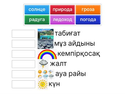 Әйелдер кискалары бейнеленген порно видеолар