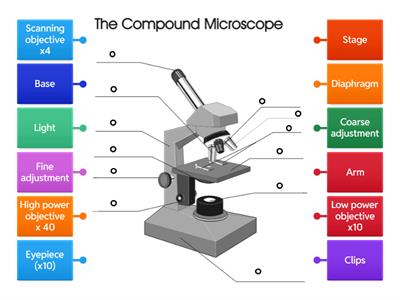 Label a microscope B