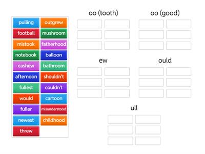 Unit 4, week 3, spelling patterns /oo/, ew, ould, ull, Benchmark Advance, grade 5