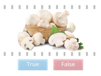 Prophet Muhammad Favourite Food