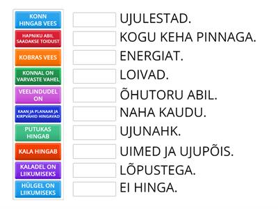 LOOMADE KOHASTUMUSED ELUKS VEES 