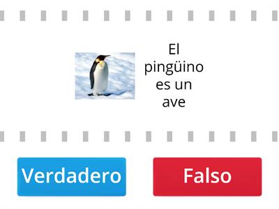 K4: ¿Cuánto aprendimos sobre PINGÜINOS?