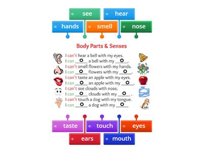 P1 - U5 - Body Parts and Senses