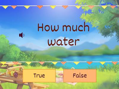 How much how many true or false