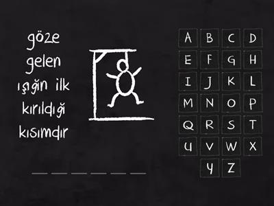 6.SINIF Fen Bilimleri Duyu Organları + Denetleyici ve Düzenleyici Sistemler