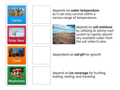 Biotic and Abiotic Interdepndence