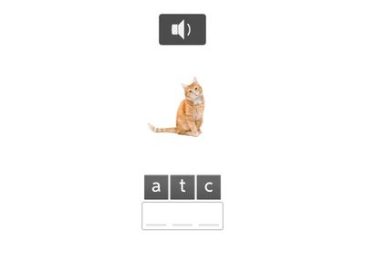 Mr. Figueroa - Kindergarten - CVC words 1