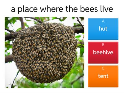 Statements about bees and honey