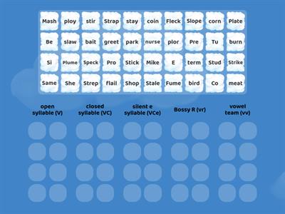syllable sort v,vc, vce, vr, vv
