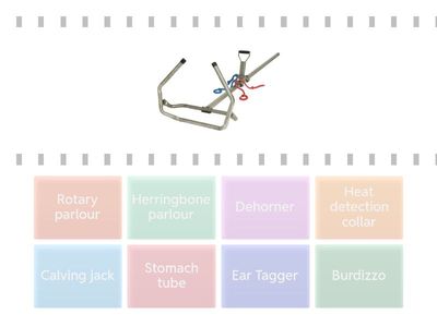 Dairy - equipment / parlour
