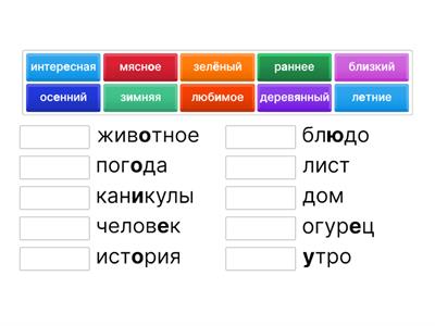 Przymiotniki w liczbie pojedynczej i mnogiej_2