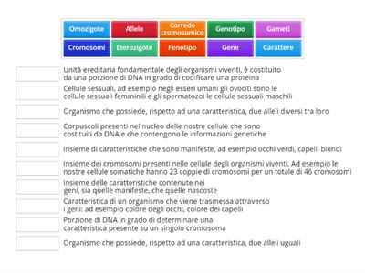 Accoppia termini e definizioni