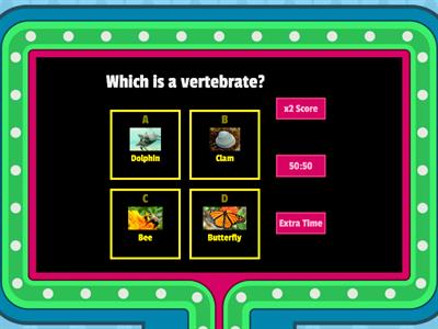 Vertebrates & Invertebrates 