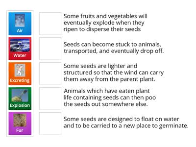 S3 Seed Dispersal