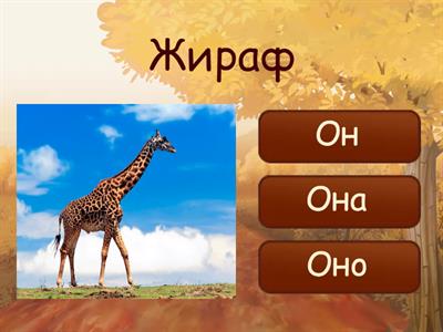 Род существительных, РКИ