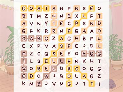 Academy stars starter