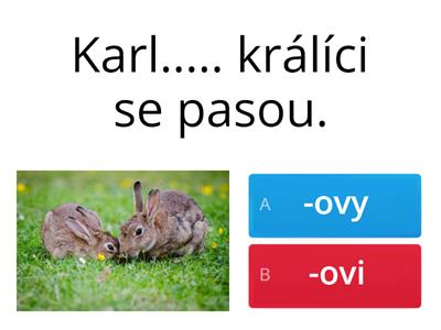 -ovy nebo -ovi