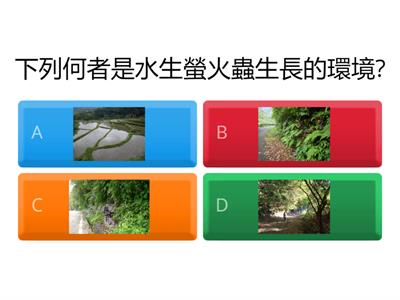 螢火蟲生長環境