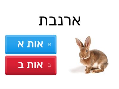 מיון אות פותחת  א -ב