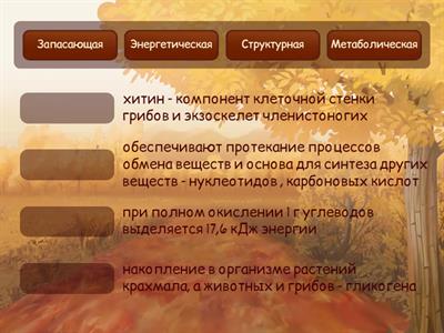 Функции углеводов