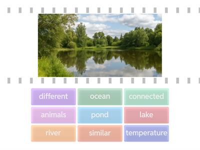 2nd Grade HMH ELD 6.1