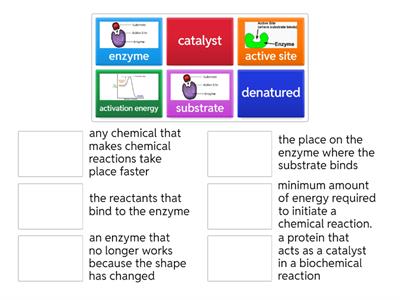 6.2 Enzymes